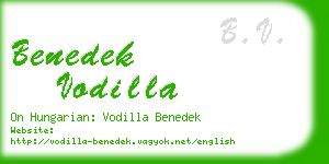 benedek vodilla business card